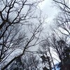 【親知らず抜歯、つれづれ日記2】親知らず抜歯予約は３カ月後…？！新型コロナウイルスの影響はここにも出ていた