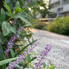 夏だから家でできる遊びを開発してみよう