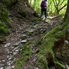 小満の加持ヶ峰遊山　谷の風