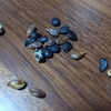 リンゴと梨・・・。