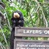 シンガポール旅行記　　動物園＆ナイトサファリ編