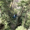 【 とある日の... 】『浄蓮の滝』の写真