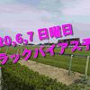 2020,6,7 日曜日 トラックバイアス予想 (東京競馬場、阪神競馬場)