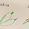 「トウガラシ」の効能と言いたくなる豆知識