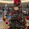 さだまさしディナーショー～ホテルニューオータニ大阪