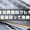 年会費無料クレカ大量保持って危険？～未使用手数料チューチュー
