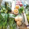 大山町野菜セット 鳥取県大山町 コスパ重視のふるさと納税2015版