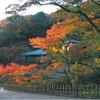 鎌倉寺めぐり（１）円覚寺