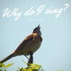 鳥たちのSong and Call――『歌う鳥のキモチ』を読んで。