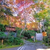 【京都の紅葉】嵐山の祇王寺・二尊院・鹿王院が見頃〜渡月橋はちょっと早かった