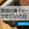 黒猫が鼻チューさせてくれた日