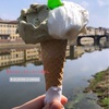 イタリアに来たらジェラート🍨🇮🇹フィレンツェ