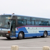 沖縄バス / 沖縄22き ・266