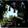 大神神社写真館（６/１９）