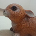 koko_0217’s blog