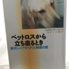 【読書】「ペットロスから立ち直るとき―愛犬レイアがくれた無償の愛」カタリナ房子：著