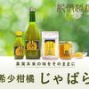 第二期　一新紀元　　なかよし集会　1999．6.7　No.29　