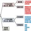   【基礎から学ぶ】伝導路まとめ【解剖生理学】