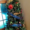 クリスマスツリー出しました。