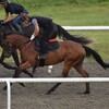 ラキエータ、超絶デモンストレーション！