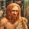 ネアンデルタール人と、ミトコンドリア・イブの仮説。