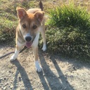 marokichi blog