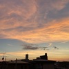 夕方ランニング、そよ風と夕景に誘われて🏃‍♀️🚴‍♂️