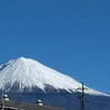 17日目　特定の場所のお肉が落ちない