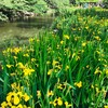 ありがとうございます。