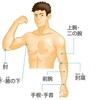 拳主体ではなく手首より下を主体にスイング