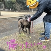 2026年初雪、総選挙。