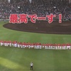 甲子園いきましたーーー！