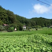 会津磐梯山は～🎵　供養の旅にわんこも行くのだ🌟　その１　プロローグ？　ザ・田舎（８月１５日に願うこと）