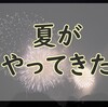 野に咲く花もいいけれど、空に咲く華もいいですよ(((o(*ﾟ▽ﾟ*)o)))✨