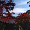 邪気払いに石清水八幡宮参拝ツーリング。(土曜日、晴れ)