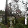 ◎雨の日でも（４８５）