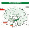 覚えたことを忘れない記憶術　　　　　（脳科学を用いた効率の良い記憶法）