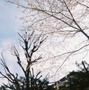 僕に関わるアレやソレ