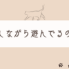 猫との暮らしは体力勝負だったり、