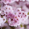 ”いまこそ、自分自身をとり戻しなさい”