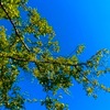 ８月２９日