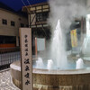 富山金沢乗りつぶし(12)富山地鉄に乗った（高岡～滑川～宇奈月温泉）