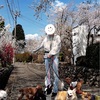 2025年4月6日🐾 今日のマヤ暦