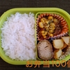 ごはんとお弁当の記録（４８３）