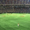 プロ野球 2015 巨人×DeNA 2回戦 〜東京ドーム〜