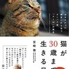 猫の腎臓病の薬（経過）