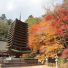 談山神社の紅葉 　奈良県桜井市