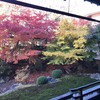 【相国寺】鳴き龍に白い象！方丈庭園の紅葉絶景や若冲まで見所解説