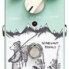 「NINEVOLT PEDALS FISHING IS AS FUN AS FUZZ」「1927 HOME RUN KING COMP.」！ナインボルトペダルズからファズとコンプが登場！