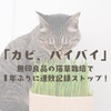 「カビ、バイバイ」無印良品の猫草栽培で1年ぶりに連敗記録ストップ！